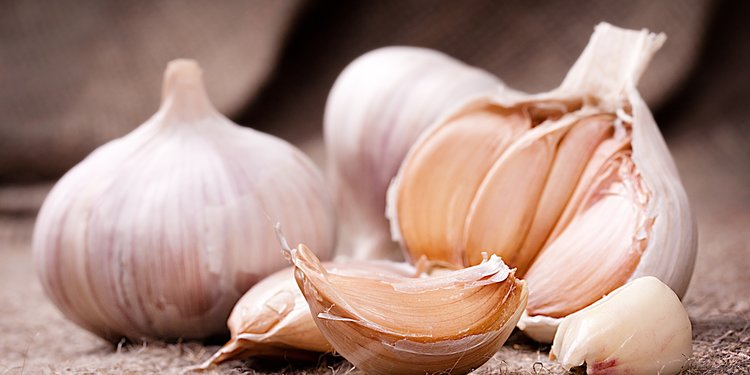 Image result for obat virus corona bawang putih"