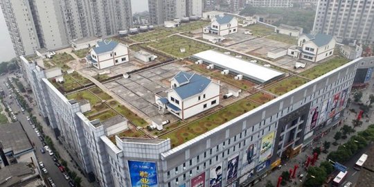 di atas mal di china rev1
