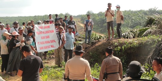 DPRD Pelalawan Minta PT PSJ Ganti Kebun Sawit Petani yang Dieksekusi