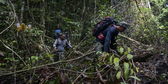 Miris, Laju Kerusakan Hutan di Aceh 41 Hektare Per Hari