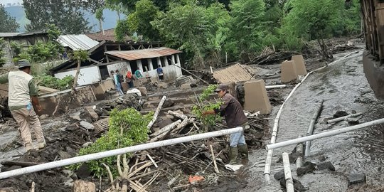 823 Ternak di Bondowoso Terdampak Banjir Bandang, 79 Kambing Hanyut