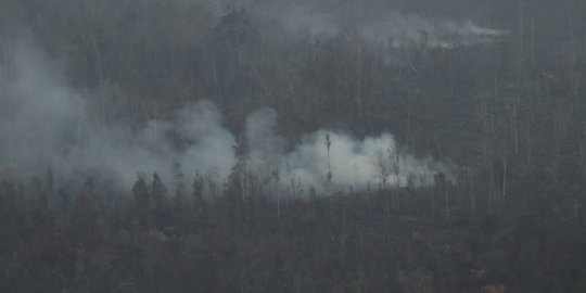 Polda Riau Tetapkan 21 Orang Tersangka Karhutla