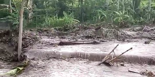 Banjir Bandang di Jember Terjang Permukiman dan Putuskan Jembatan