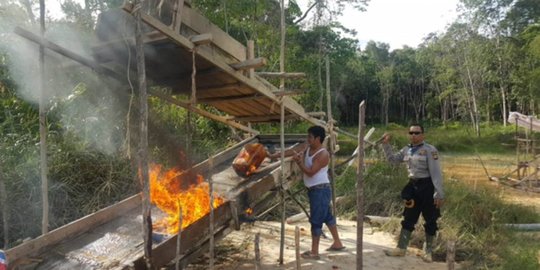 penambang ilegal