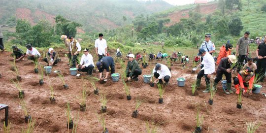 Tinjau Lokasi Bencana di Bogor, Jokowi Tanam Vetiver untuk Cegah Longsor