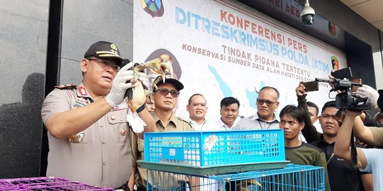 Polisi Bongkar Sindikat Penjualan Satwa Langka dan Kerang Laut Bernilai Rp1,5 Miliar