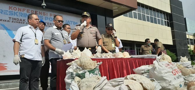 sindikat penjualan satwa langka dan kerang laut
