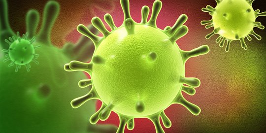 Penggunaan Imunostimulan Bisa Jadi Cara Cegah Penularan Virus Corona