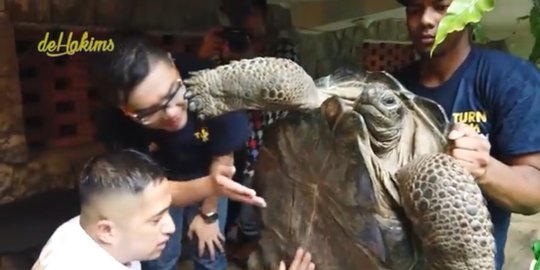 ini penampakan hewan termahal milik irfan hakim, seharga mobil mewah