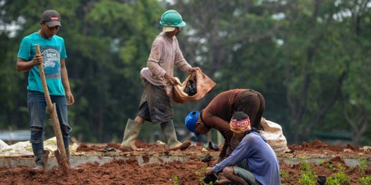 Puluhan Pohon Besar Kembali Ditanam di Taman Monas