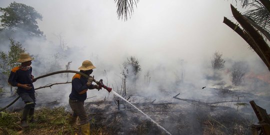 Memasuki Musim Kemarau, Aceh dan Riau Waspada Karhutla