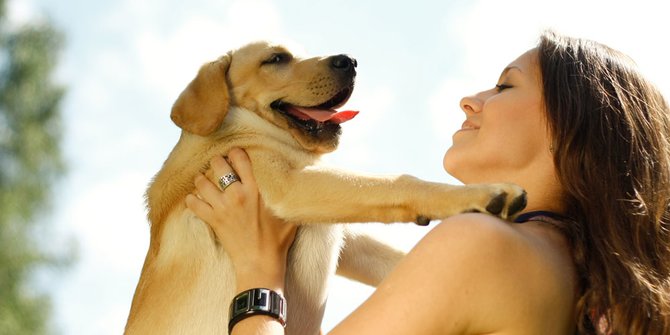 Mengharukan Begini Nasib Hewan Peliharaan Di Wuhan Usai Virus