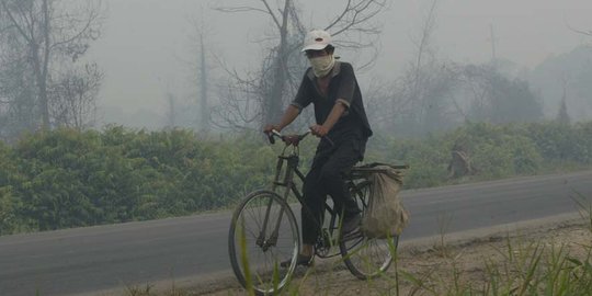 Komitmen Sinar Mas Cegah Kebakaran Hutan dan Lahan