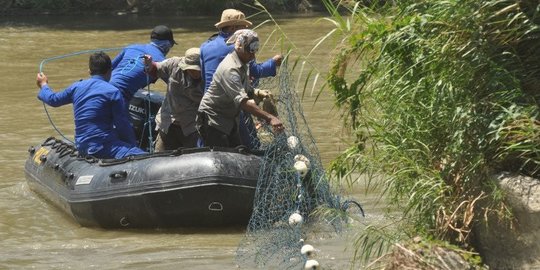 Dua Hari Diburu, Evakuasi Buaya Berkalung Ban di Sungai Palu Gagal