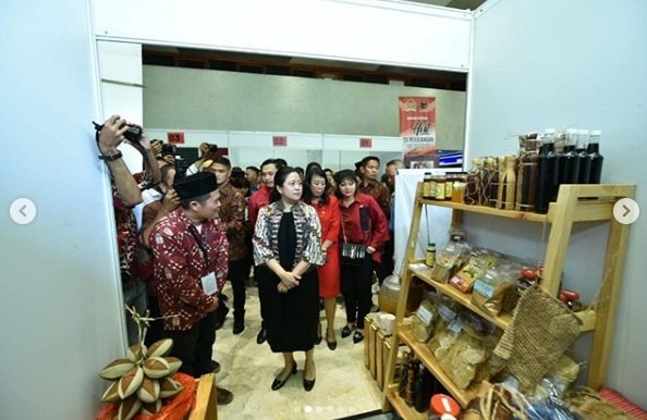 ketua dpr ri puan maharani