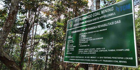 Bappenas: Hutan Konservasi Bukit Soeharto Masuk Ibu Kota Baru