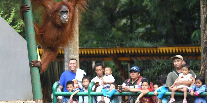 Wajah Masa Depan Ragunan