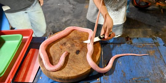 Menengok Kuliner Ekstrem Darah dan Sate Kobra di Jakarta