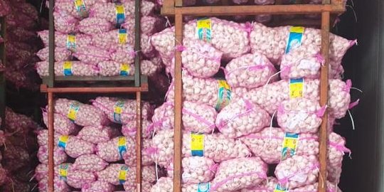 Satgas Pangan Sidak Penimbunan 150 Ton Bawang Putih Impor di Karawang