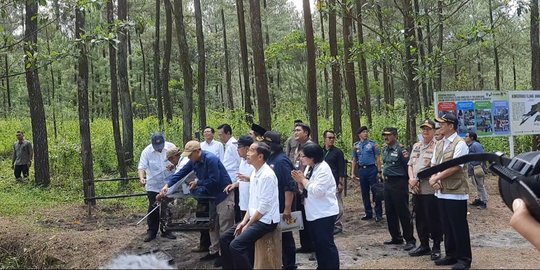 Jokowi Ingin Semakin Banyak Elang Jawa Dilepasliarkan di Merapi