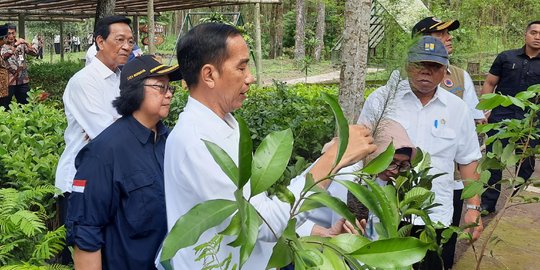 Tanam Pohon di Merapi, Jokowi Tegaskan Komitmen Jaga Ekosistem
