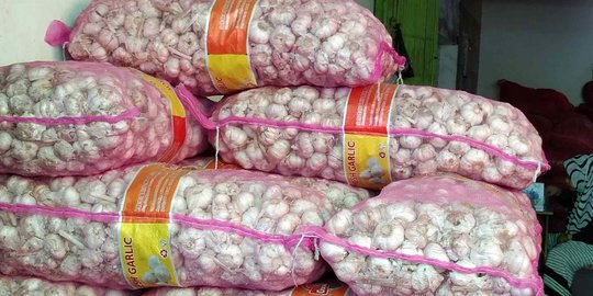 KPPU Ingatkan Pemerintah Tak Hambat Permintaan Impor Bawang Putih