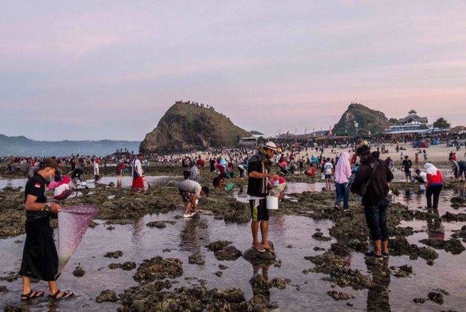 wisatawan berburu nyale cacing warna warni