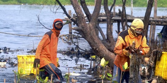 wwf: malaysia negara pembuang sampah plastik ke lautan terbanyak di asia