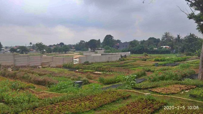 kebun bibit jagakarsa