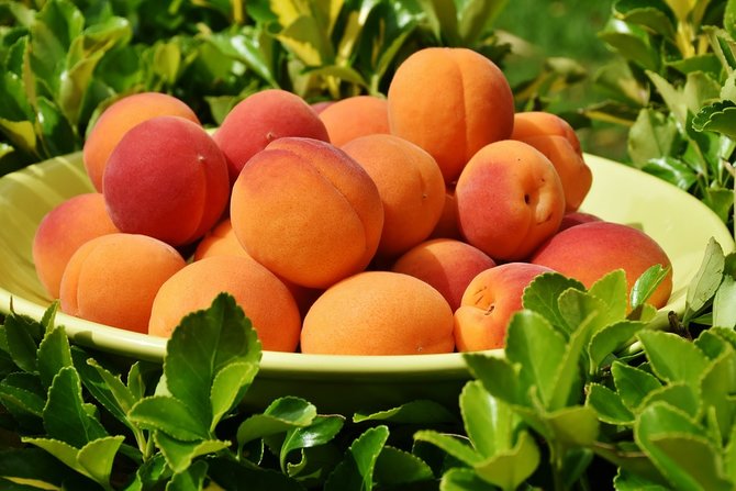 10 macam buah yang baik untuk kesehatan jantung