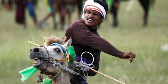 Festival Pasola, Perang Tombak Memohon Keberkahan Hasil Panen di Sumba