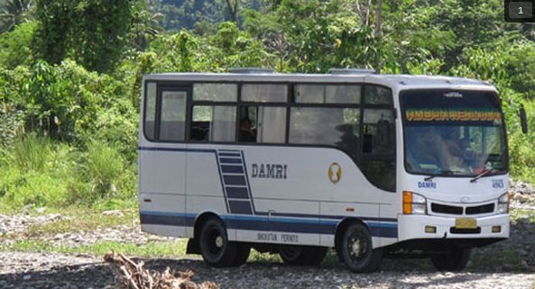 bus damri