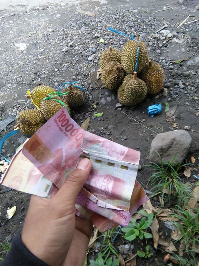penjual durian