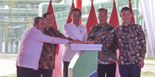Jokowi Resmikan Pabrik Viscose Rayon Terintegrasi Terbesar di Indonesia