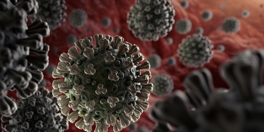 Penelitian Sebut Virus Corona Baru Lebih Menular Dibanding SARS atau MERS