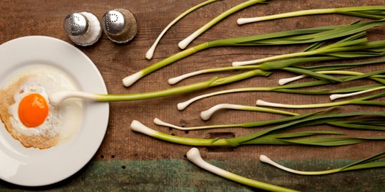 Menurut Penelitian, Ini Makanan yang Bisa Tingkatkan Jumlah Sperma