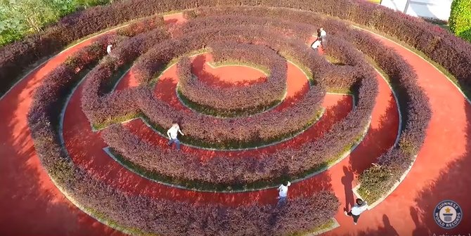 yancheng dafeng dream maze