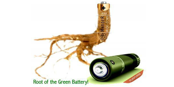 ilustrasi baterai lithium ion dari akar madder