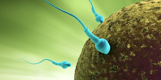 Geger Sperma di Kolam Renang Bisa Bikin Perempuan Hamil