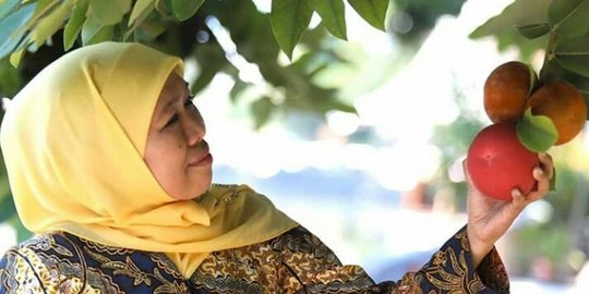 Khofifah Berharap Dana Desa Bisa Digunakan untuk Atasi Kemiskinan dan Stunting