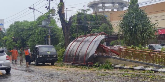 Sedang Berteduh di Halte Batik Solo Trans, 6 Pelajar Tertimpa Pohon