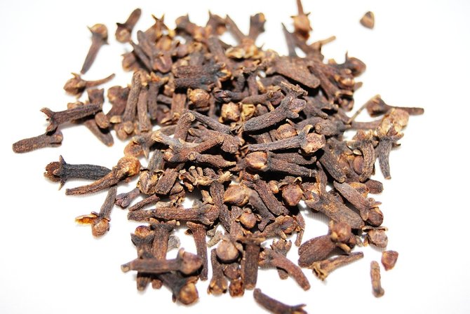 10 cara mengusir lalat dengan bahan alami