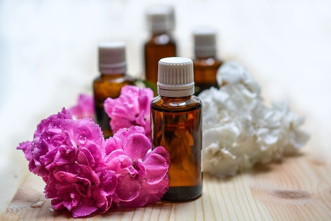 10 cara mengusir lalat dengan bahan alami