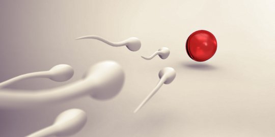 Kenali Sejumlah Kondisi Tak Normal pada Sperma yang Menyebabkan Sulit Memiliki Anak