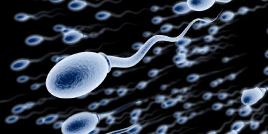 Begini Cara Mengetahui Apakah Sperma Berada dalam Kualitas Sehat