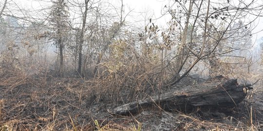 Jenazah Seorang Petani Ditemukan dalam Posisi Bersujud di Lahan Terbakar