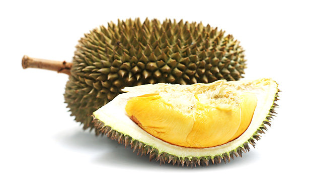 ilustrasi durian