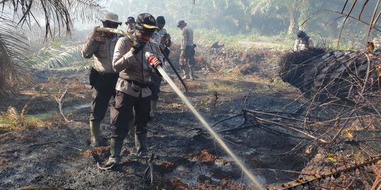 Setelah 11 Hari, Kebakaran Lahan di Pulau Rupat Baru Bisa Padam