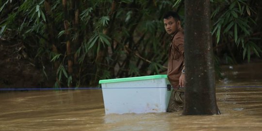 5 Fakta di Balik Aksi Panji Petualang Lepas King Kobra 'Garaga' ke Alam Liar