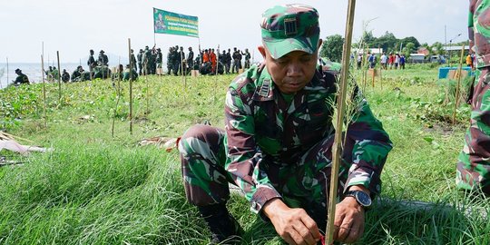 Dukung Penghijauan, Kodim Banyuwangi Tanam 25 Ribu Bibit Cemara